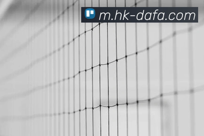 大发彩票平台生态图